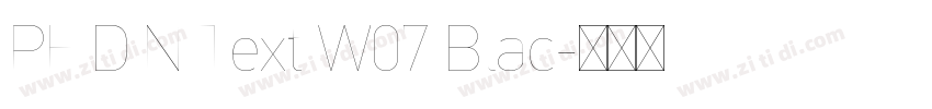 PF DIN Text W07 Blac字体转换